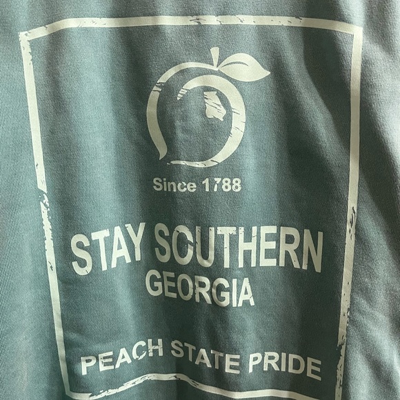 🍑Stay Southern Peach State Pride Oversized Pullover 🍂 - Picture 3 of 4